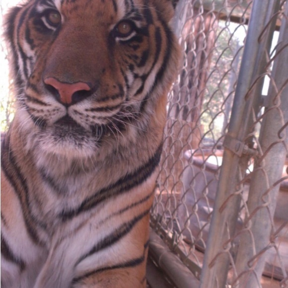 Meet your Posher, Susan - Picture 13 of 16